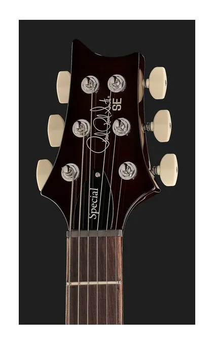 PRS SE Special Semi-Hollow OTS, manico e tastiera visti di lato
