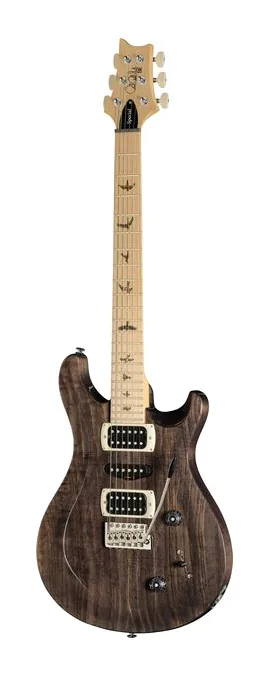 PRS SE Swamp Ash Special CH visto di fronte