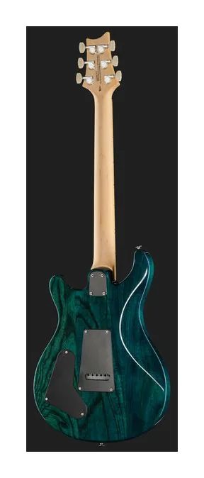 PRS SE Swamp Ash Special IB, paletta con meccaniche e logo