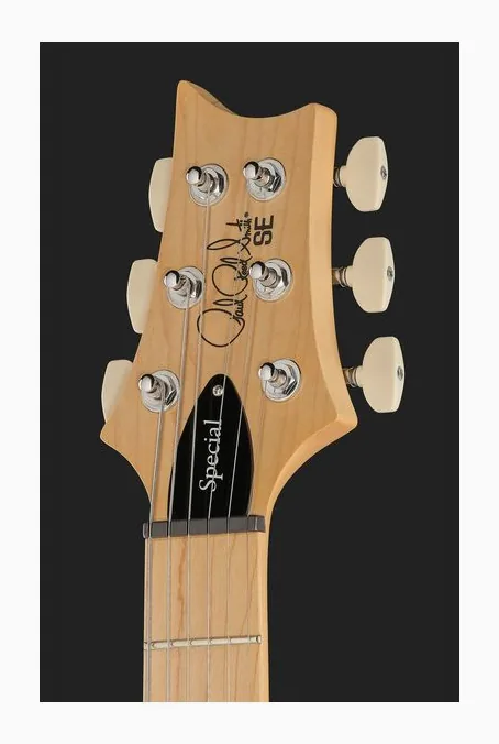 PRS SE Swamp Ash Special IB, paletta con meccaniche e logo