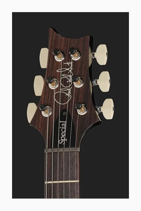 PRS Special S/H 22 Purple Mist WSB, paletta con meccaniche e logo