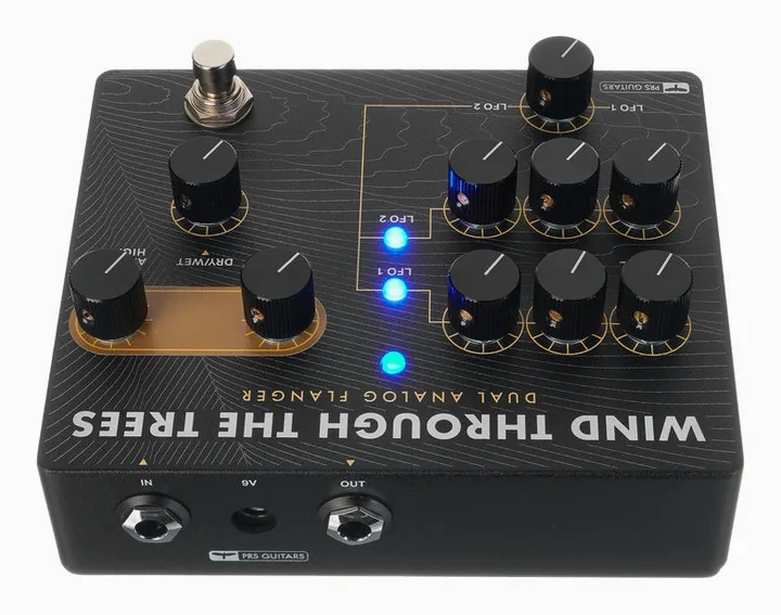 PRS Wind Through the trees Dual Fl, connettori sul retro dell'unita