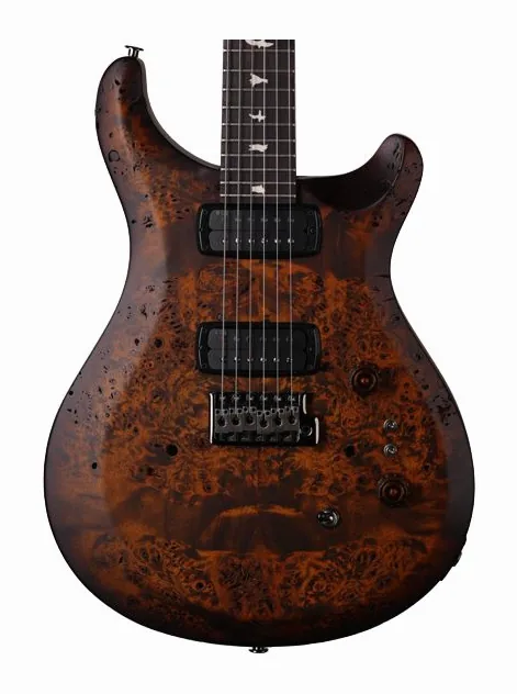 PRS Wood Library S2 Cust. 24-08 BG inquadrato di fronte su sfondo neutro