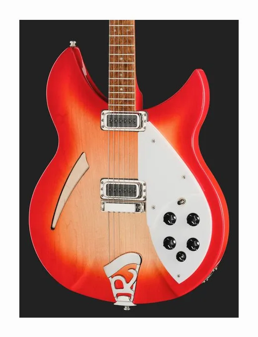 Rickenbacker 330 FG, selettore pickup e jack di uscita