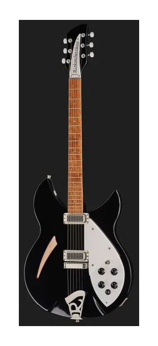 Rickenbacker 330 JG, selettore pickup e jack di uscita