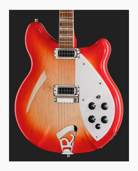 Rickenbacker 360 FG, selettore pickup e jack di uscita