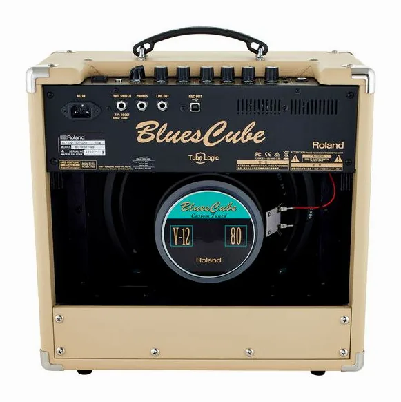 Roland Blues Cube Hot VB, retro con le prese di collegamento