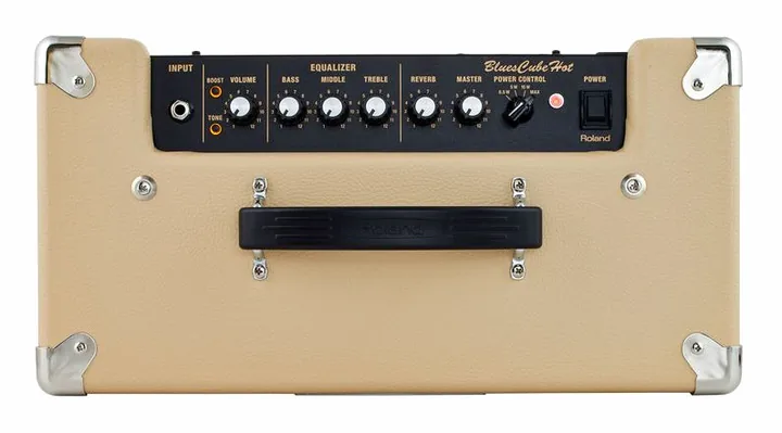 Roland Blues Cube Hot VB, griglia dell'altoparlante