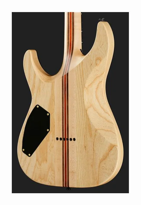Schecter C-1 50th Anniversary GB, vista posteriore del corpo