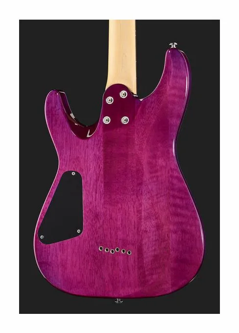 Schecter C-6 Plus EM, manico e tastiera visti di lato