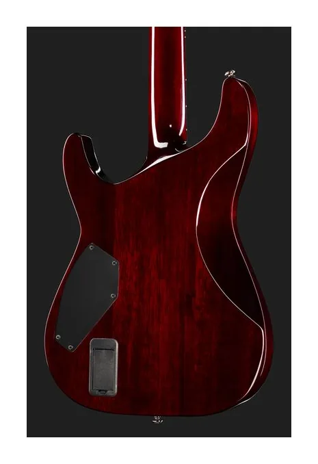 Schecter Hellraiser C-VI BCH, paletta con meccaniche e logo