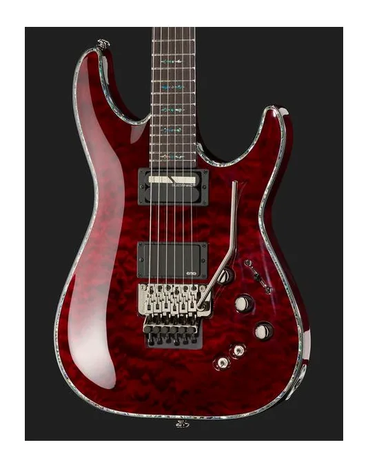 Schecter Hellraiser C1 FR S BCH, paletta con meccaniche e logo