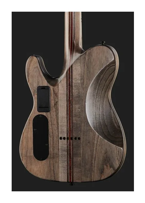Schecter PT SLS Evil Twin, pickup e manopole dei controlli