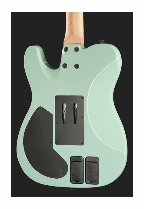 Schecter SVSS PT FR S SFG, paletta con meccaniche e logo