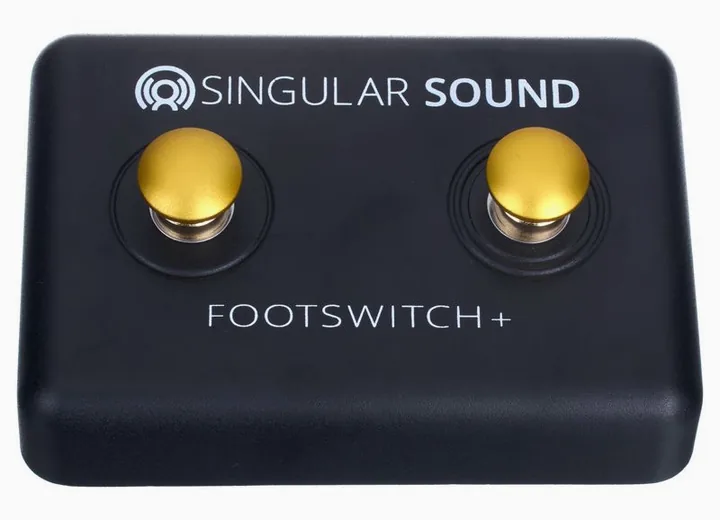 Singular Sound Beatbuddy Footswitch+, connettori sul retro dell'unita