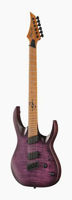 Solar Guitars A1.6FDPB-FF Flame Purple Burst in primo piano frontale