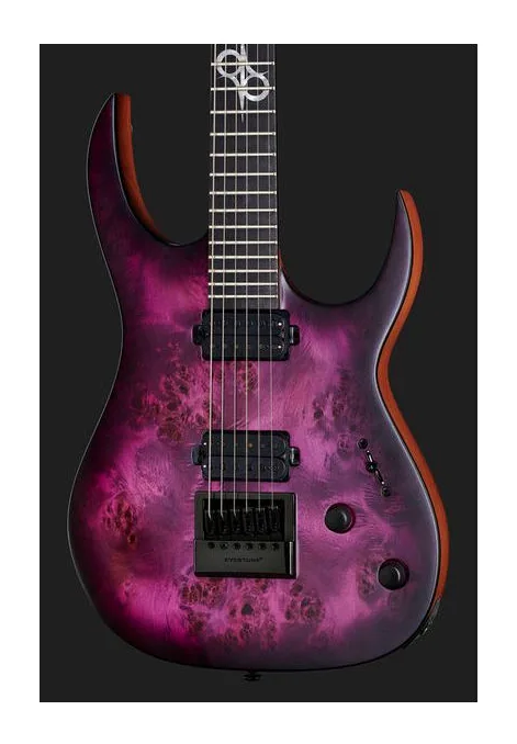 Solar Guitars S1.6PP, paletta con meccaniche e logo
