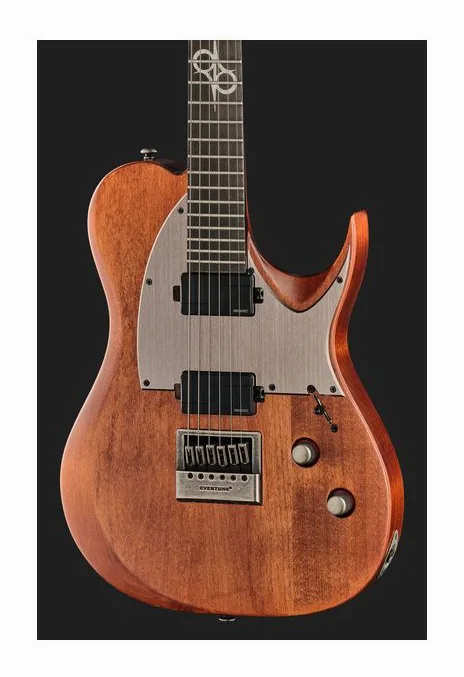 Solar Guitars T1.6AD Aged Natural, vista posteriore del corpo