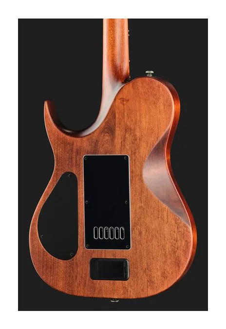 Solar Guitars T1.6AD Aged Natural, ponte e meccaniche di intonazione