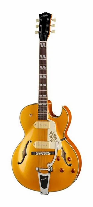 Stanford CR Fatboy GE 95 Bigsby B60 visto di fronte