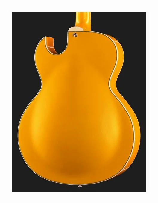 Stanford CR Fatboy Golden Eye 95, vista posteriore del corpo
