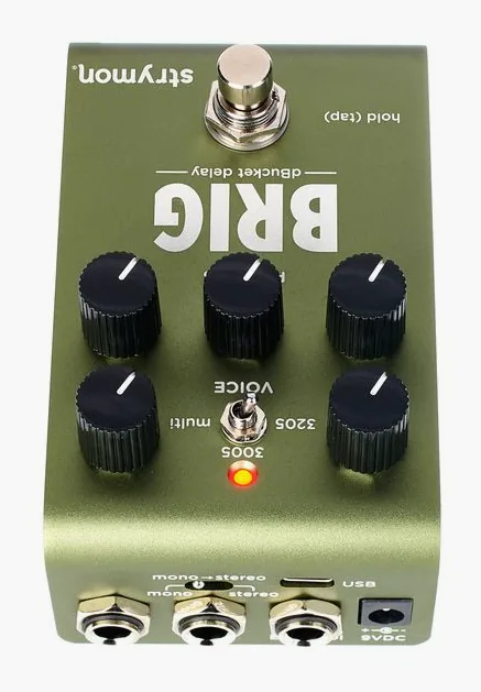 Strymon Brig Delay, grafica del pannello superiore