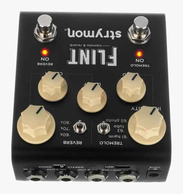 Strymon Flint V2, ingressi e uscite laterali
