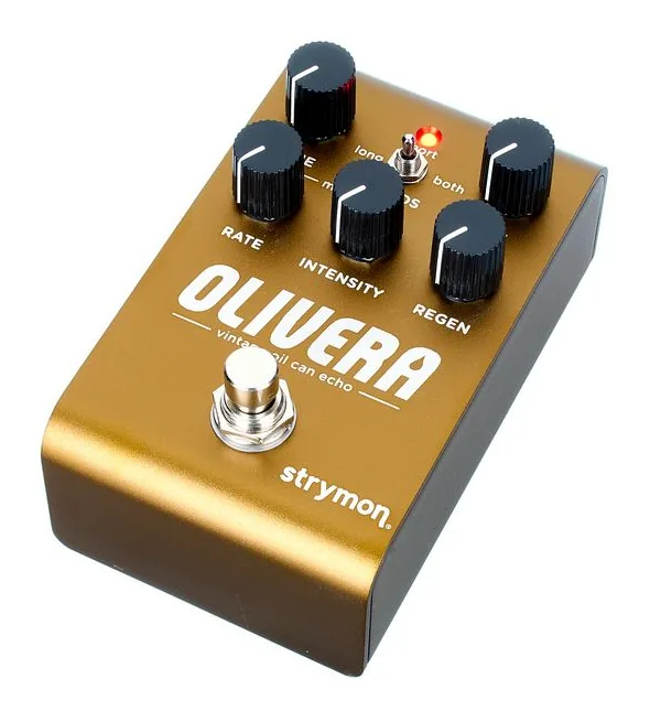 Strymon Olivera Delay, ingressi e uscite laterali
