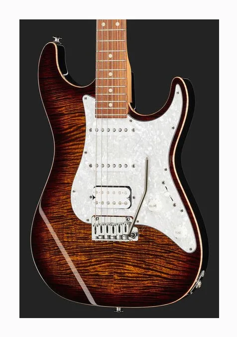 Suhr Standard Plus HSS PF BB, vista posteriore del corpo