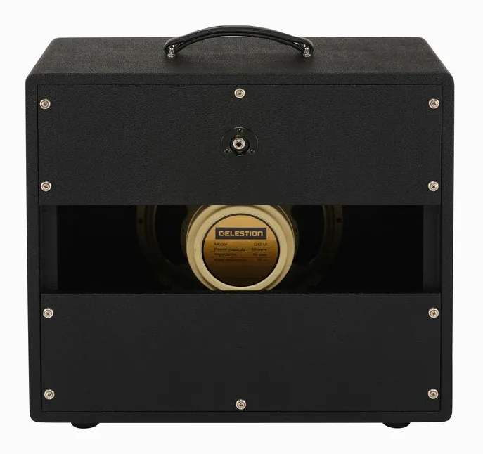Synergy 112 Ext Cabinet, manopole e selettore dei canali