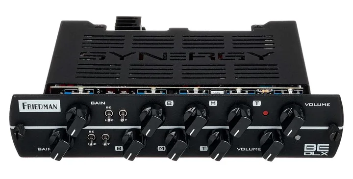 Synergy Friedman BE-DLX, retro con le prese di collegamento