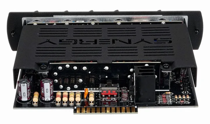 Synergy Friedman BE-DLX, griglia dell'altoparlante