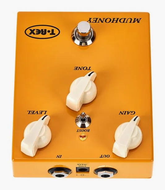 T-Rex Mudhoney, grafica del pannello superiore