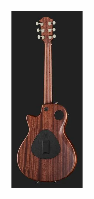 Taylor T5z Classic, ponte e meccaniche di intonazione