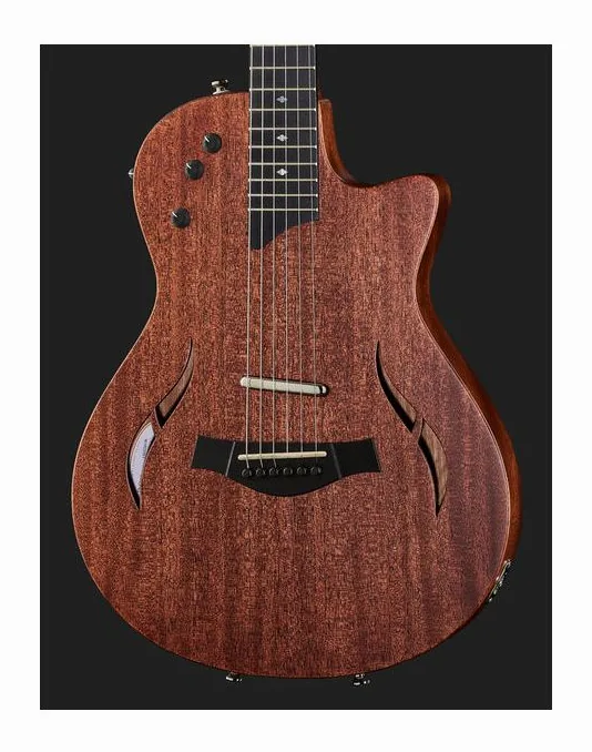 Taylor T5z Classic, ponte e meccaniche di intonazione
