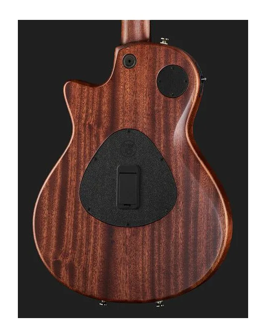 Taylor T5z Classic, corpo e verniciatura in primo piano