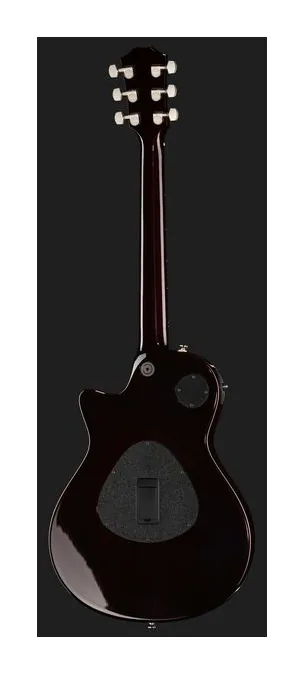 Taylor T5z Pro TSB, paletta con meccaniche e logo