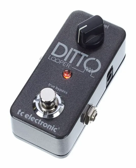 tc electronic Ditto Looper visto di fronte