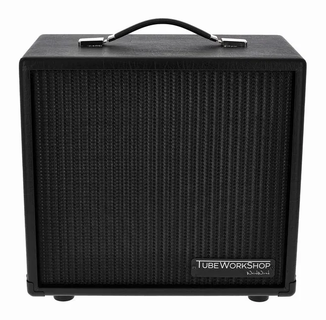 TWS Speaker-Cab, Stealth, retro con le prese di collegamento
