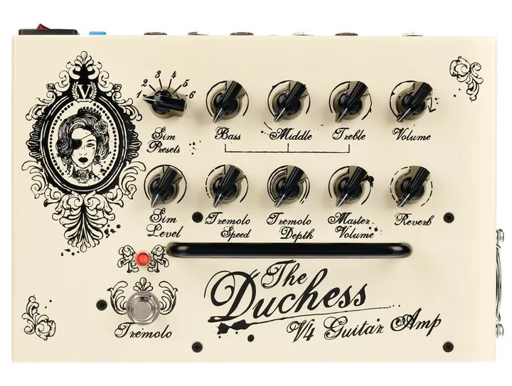 Victory Amplifiers V4 Duchess Power Amp TN-HP, vista dall'alto della testata