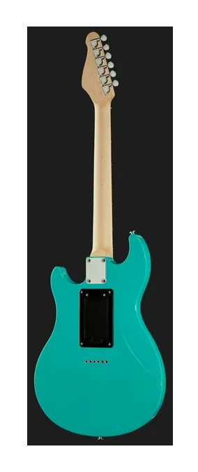 Vox APC-2 Agua Green, pickup e manopole dei controlli