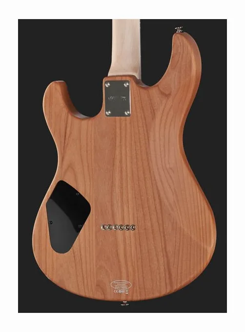 Yamaha Pacifica 311H YNS, paletta con meccaniche e logo